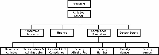NCAA Compliance Committee organization chart